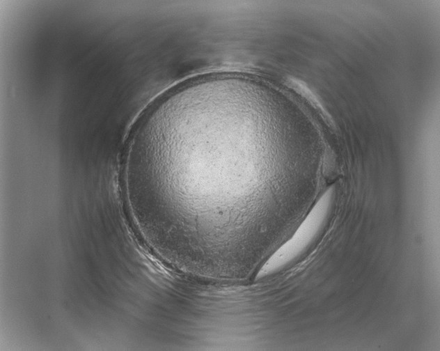 X0000070211260200606091615