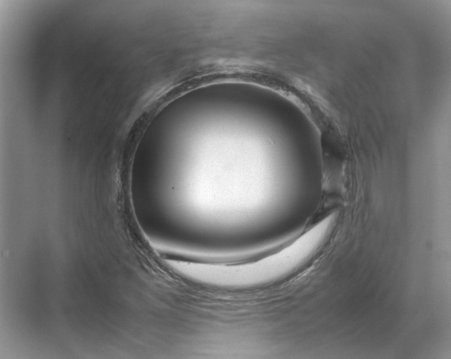 X0000070211261200606091615