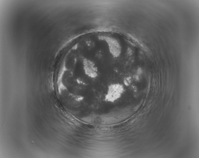 X0000070211262200606091615