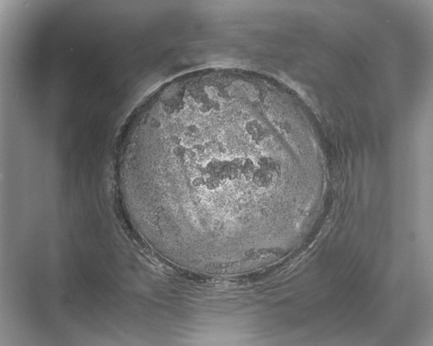 X0000070211263200606091615