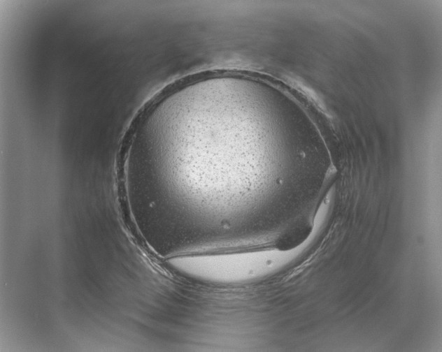 X0000070211264200606091615