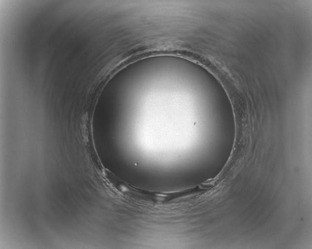 X0000070211265200606091615