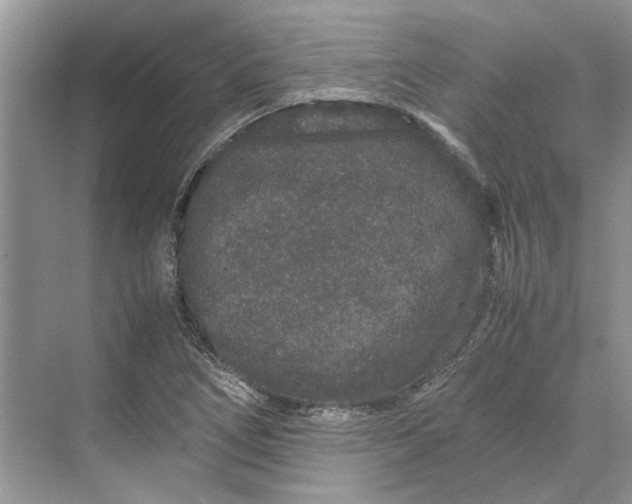 X0000070211266200606091615