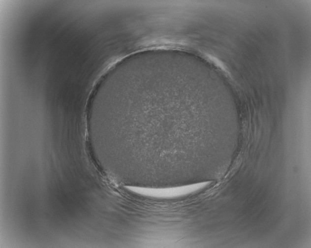 X0000070211267200606091615