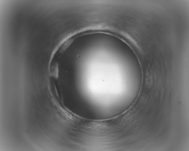 X0000070211270200606091615