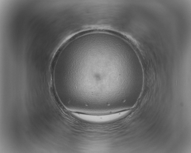 X0000070211271200606091615