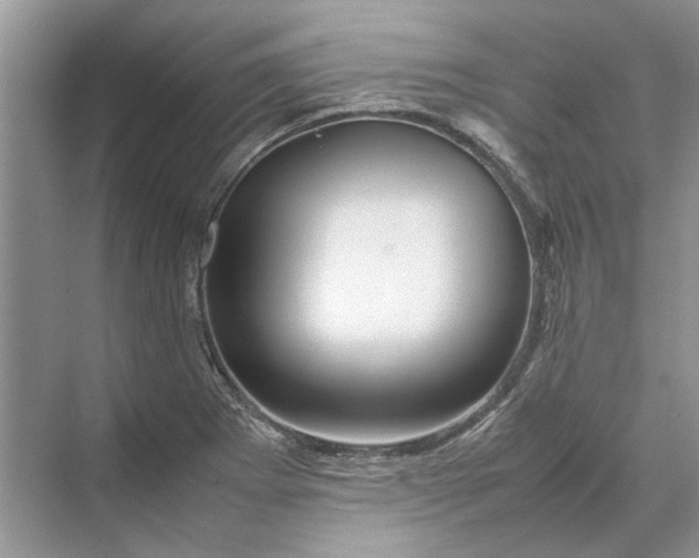 X0000070211273200606091615