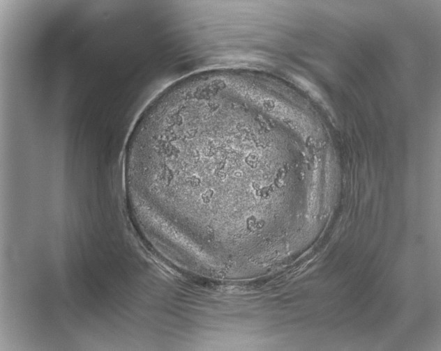 X0000070211275200606091615