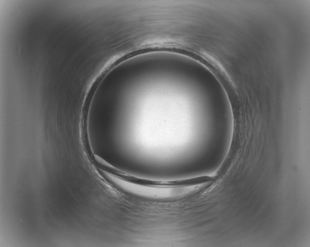 X0000070211277200606091615