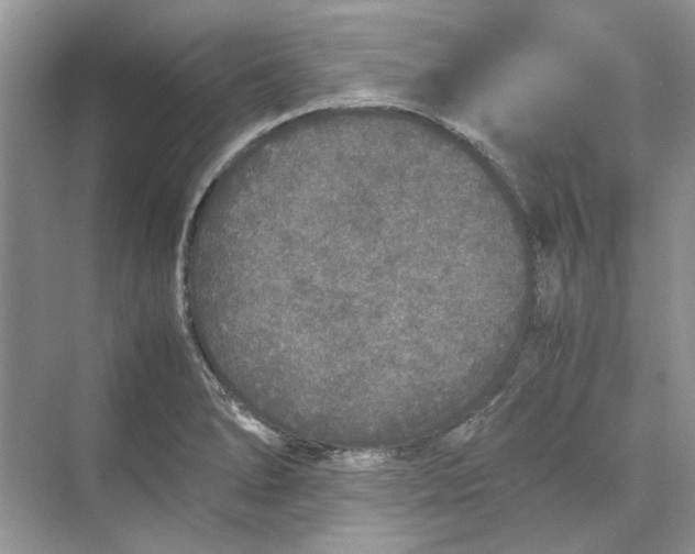 X0000070211278200606091615