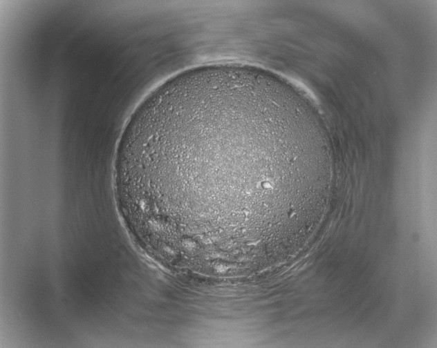 X0000070211279200606091615