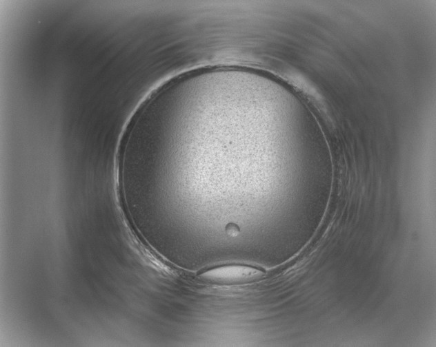 X0000070211280200606091615