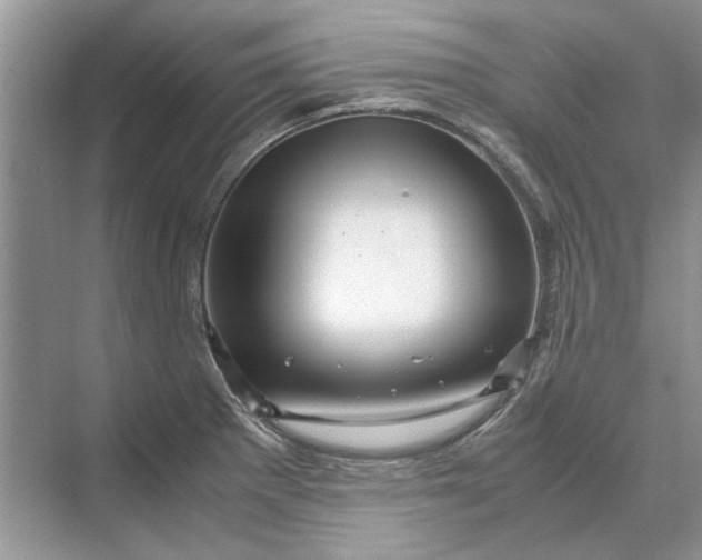 X0000070211281200606091615