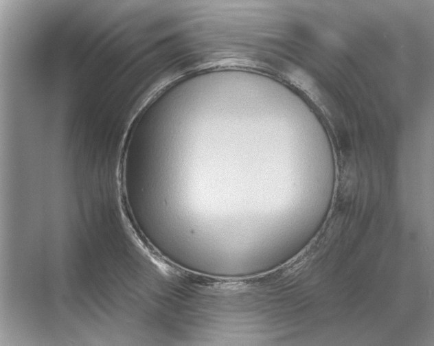 X0000070211282200606091615