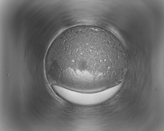 X0000070211283200606091615