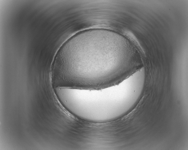 X0000070211284200606091615