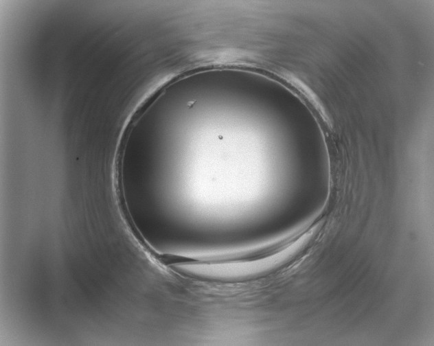 X0000070211285200606091615