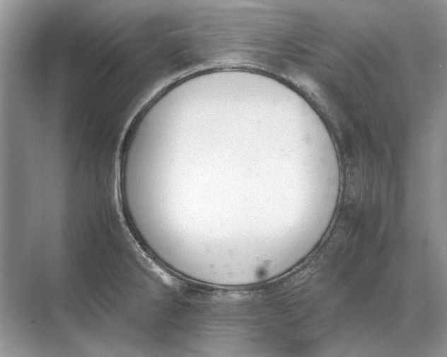 X0000070211286200606091615