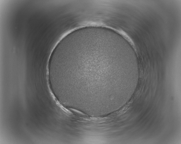 X0000070211287200606091615