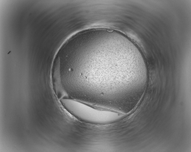 X0000070211288200606091615