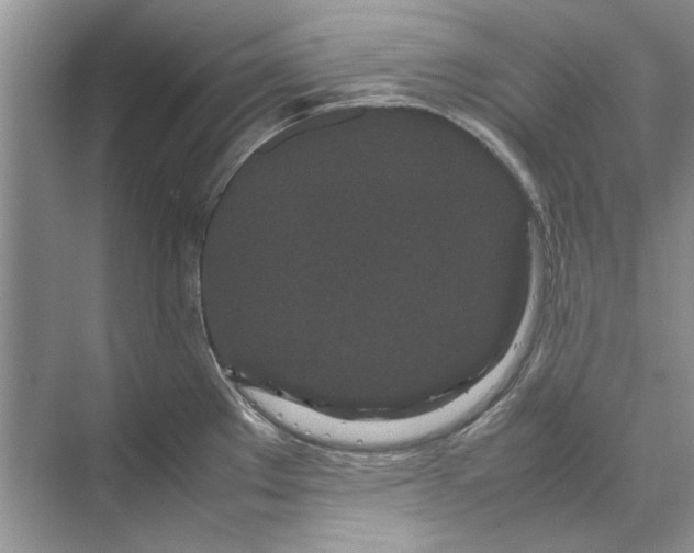 X0000070211289200606091615