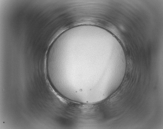 X0000070211290200606091615