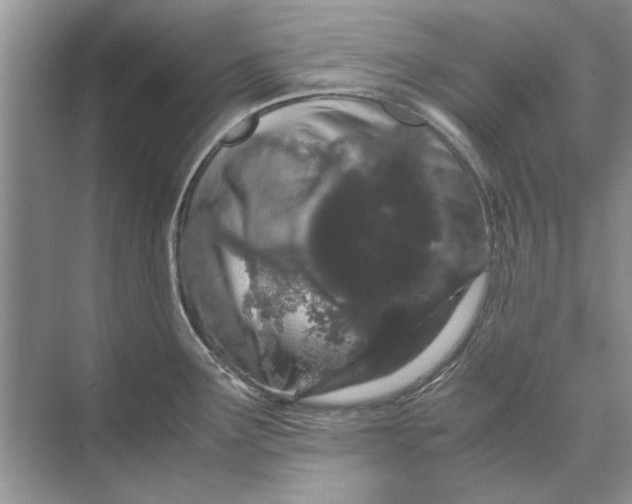 X0000070211291200606091615