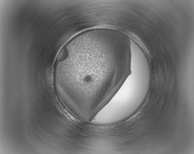 X0000070211292200606091615