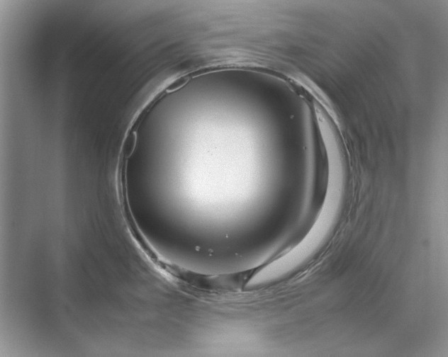 X0000070211293200606091615