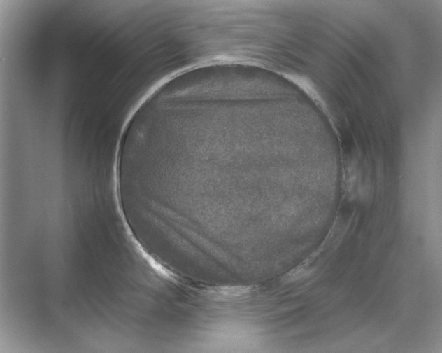 X0000070211294200606091615