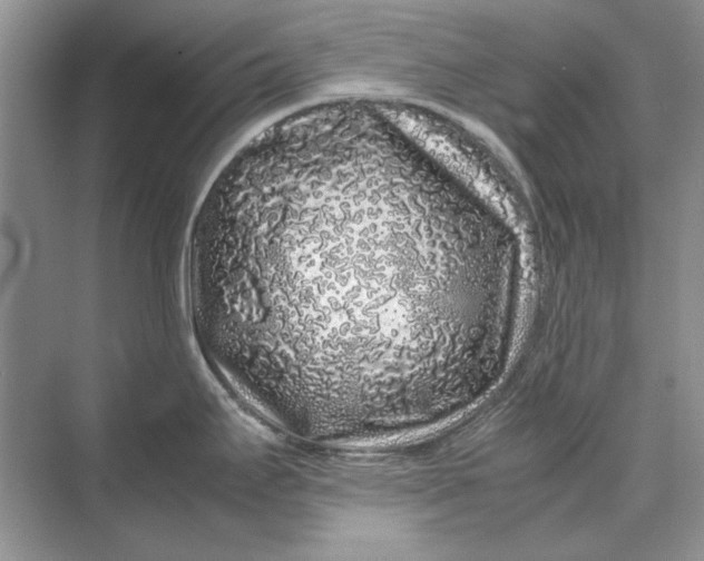 X0000070211295200606091614