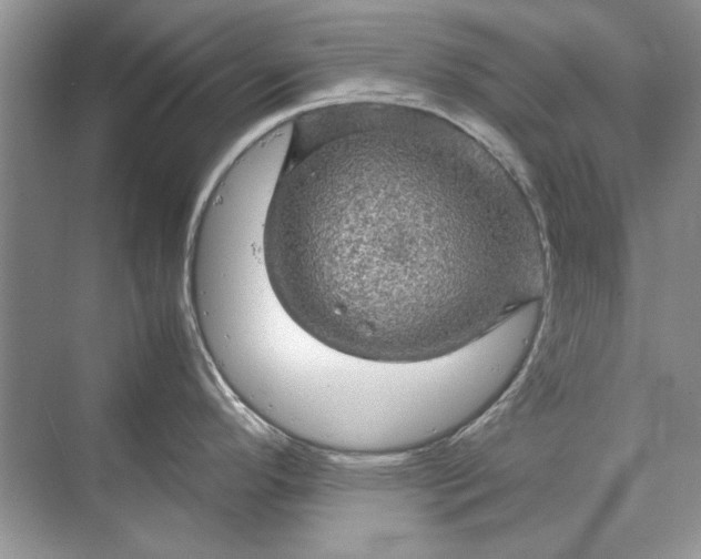 X0000070211296200606091614