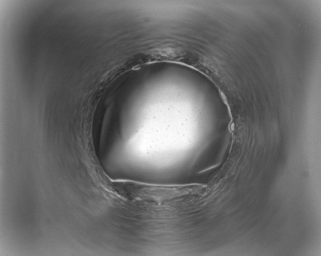 X0000070211297200606091614