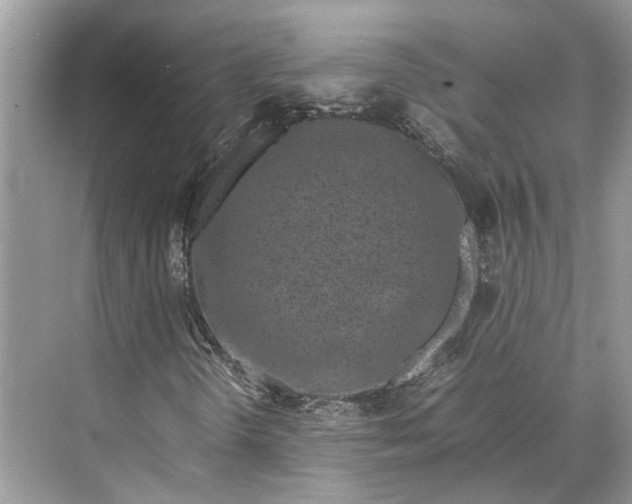 X0000070211298200606091614