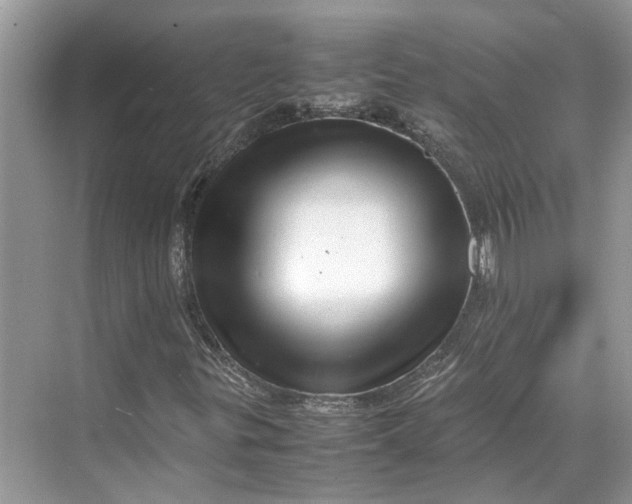 X0000070211299200606091614