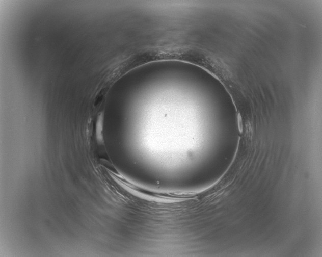 X0000070211300200606091614