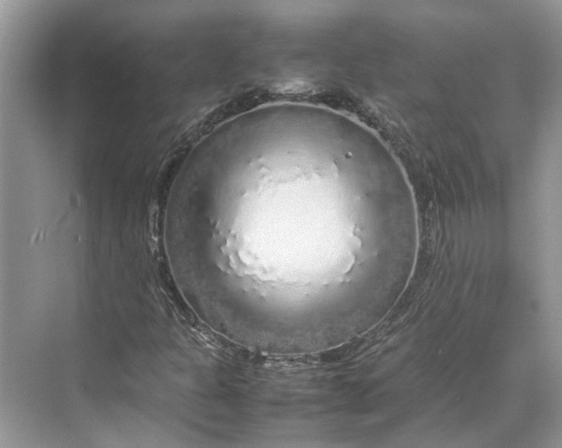 X0000070211301200606091614