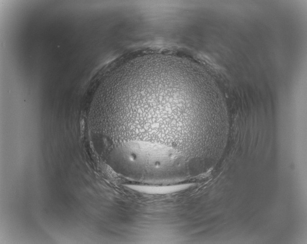 X0000070211302200606091614