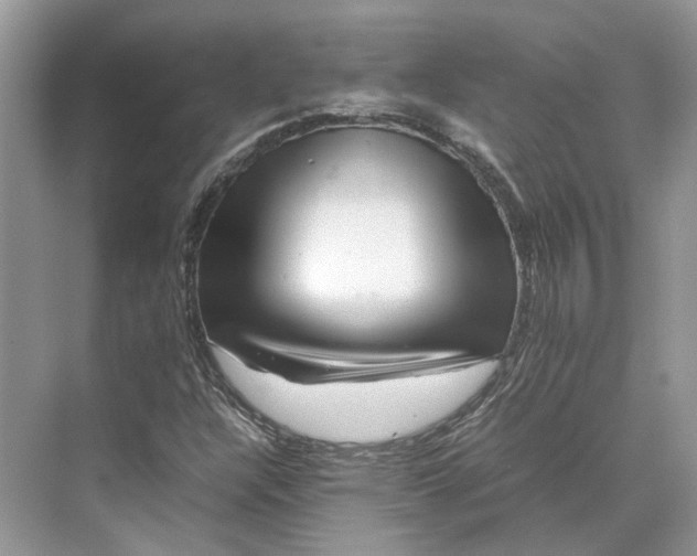 X0000070211304200606091614