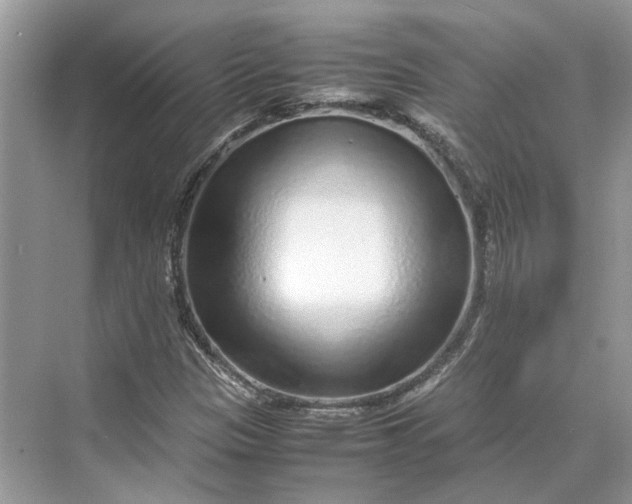 X0000070211305200606091614