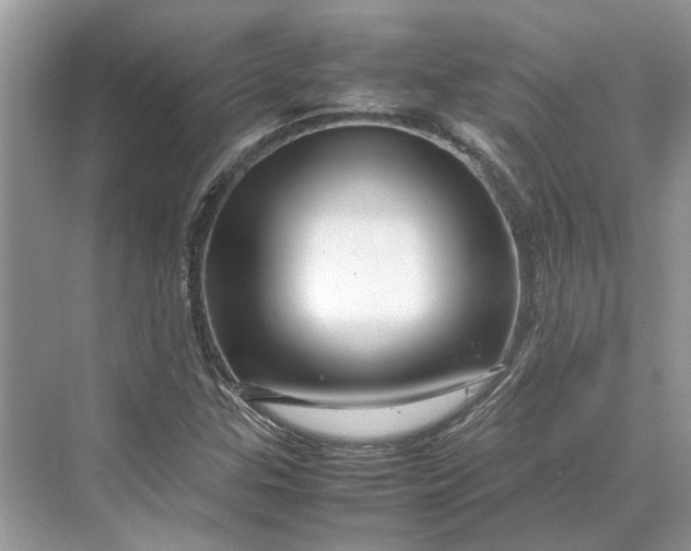 X0000070211307200606091614