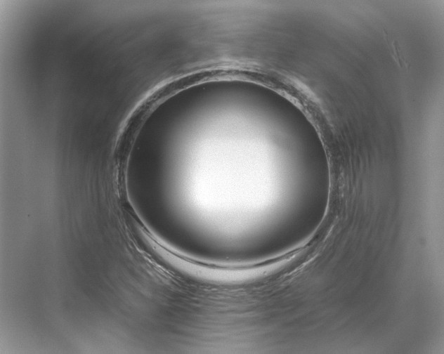 X0000070211310200606091614