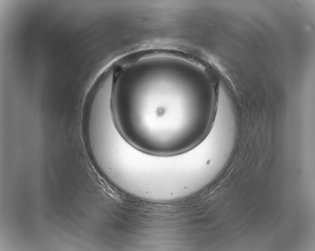 X0000070211312200606091614