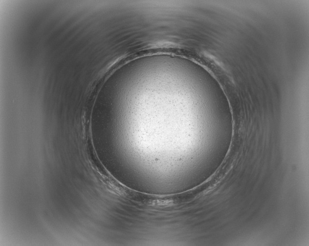 X0000070211313200606091614