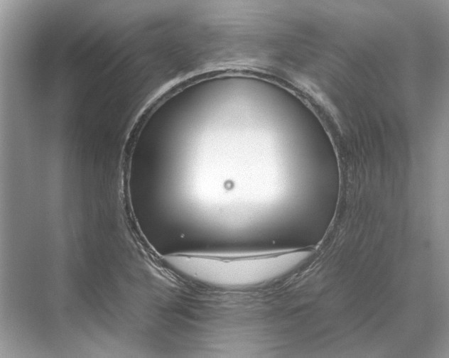 X0000070211316200606091614