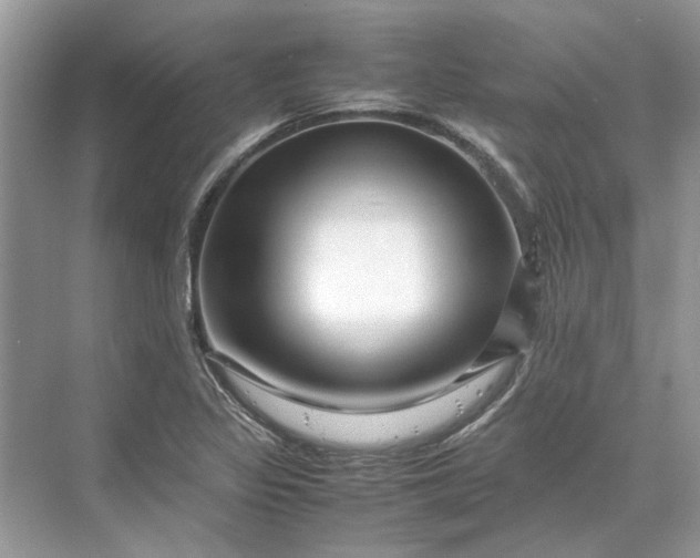 X0000070211317200606091614