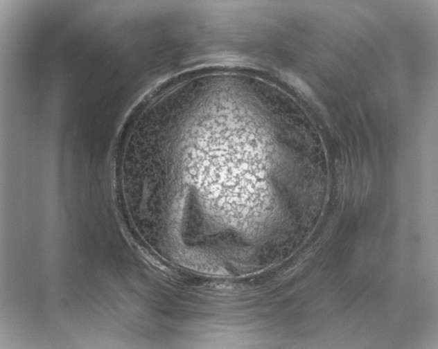 X0000070211318200606091614