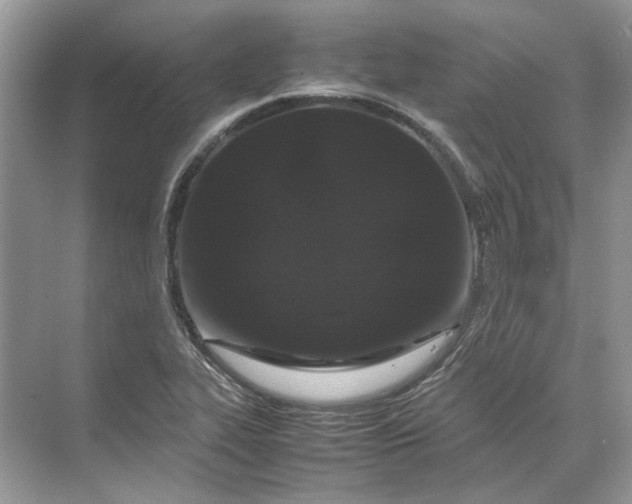 X0000070211319200606091614