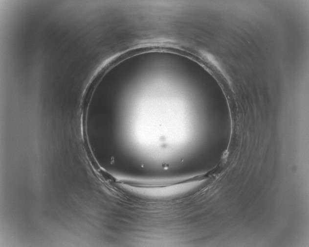 X0000070211320200606091614