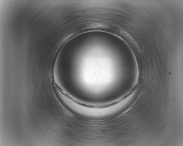 X0000070211321200606091614